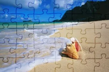 vzla jigsaw puzzle