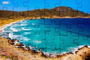 vzla jigsaw puzzle