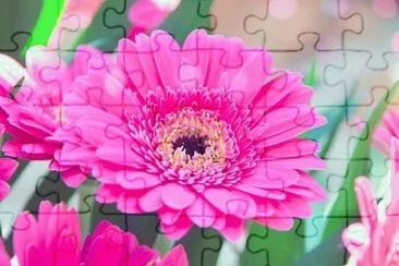 OK jigsaw puzzle