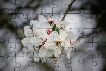 OK jigsaw puzzle