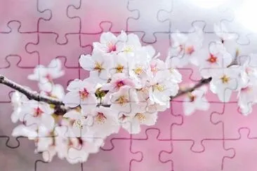 OK jigsaw puzzle