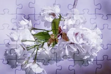 OK jigsaw puzzle