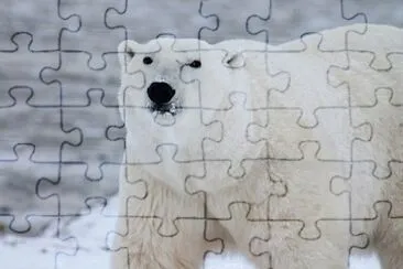 Imagem jigsaw puzzle