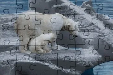 Imagem jigsaw puzzle