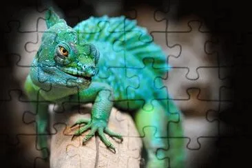 Imagem jigsaw puzzle