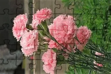 פאזל של flores