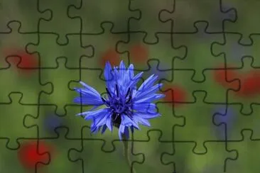 Imagem jigsaw puzzle