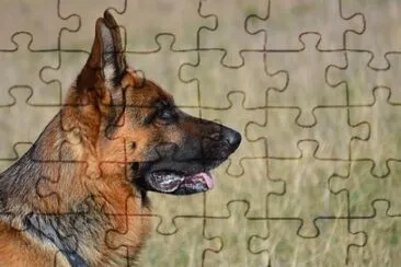 Imagem jigsaw puzzle