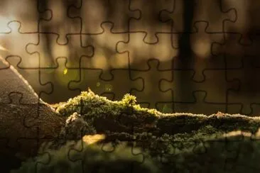 Imagem jigsaw puzzle