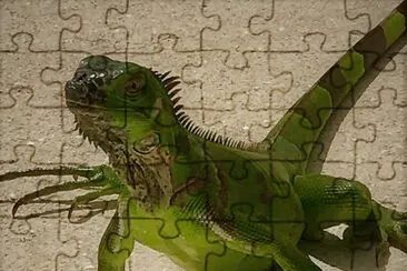 natural jigsaw puzzle