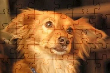 Imagem jigsaw puzzle