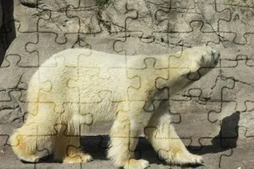 Imagem jigsaw puzzle