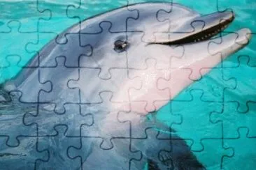 Imagem jigsaw puzzle