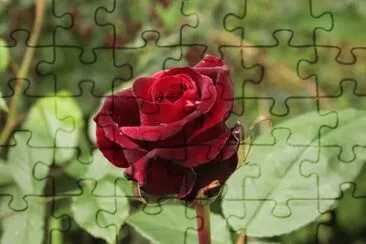 Imagem jigsaw puzzle