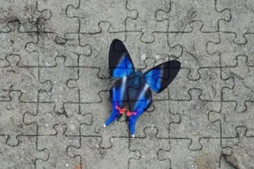 MARIPOSA