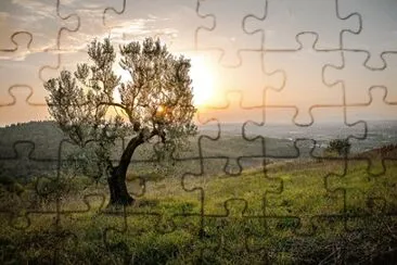 Imagem jigsaw puzzle