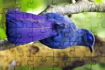 natural jigsaw puzzle