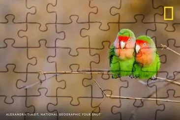 natural jigsaw puzzle