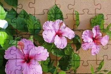 flores jigsaw puzzle