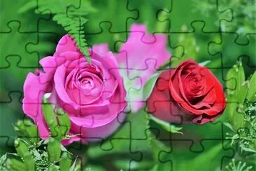 flores jigsaw puzzle