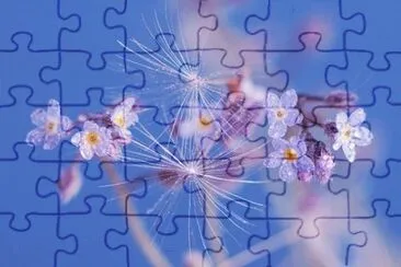 Imagem jigsaw puzzle