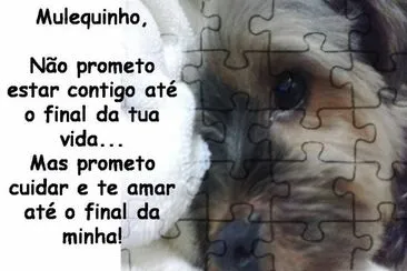 Meu Muquinho