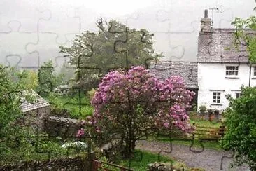 natural jigsaw puzzle