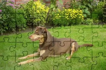 Ralf jigsaw puzzle