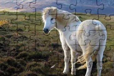 Iceland jigsaw puzzle