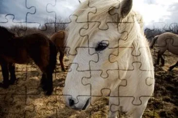 Iceland jigsaw puzzle