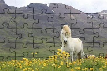 Iceland jigsaw puzzle