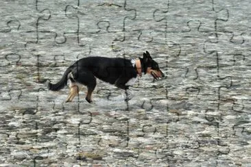 Tagliamento 08.09 jigsaw puzzle