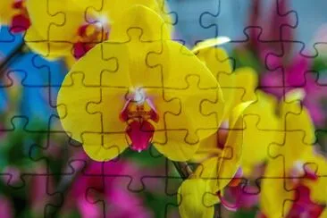 Flowers jigsaw puzzle