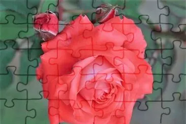 flores jigsaw puzzle