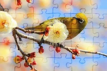 natural jigsaw puzzle