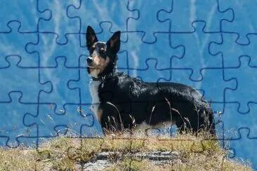 Tina jigsaw puzzle