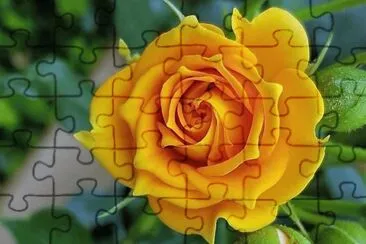 flores jigsaw puzzle