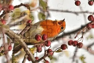 natural jigsaw puzzle