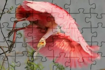 natural jigsaw puzzle