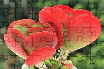 natural jigsaw puzzle