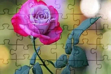 flores jigsaw puzzle