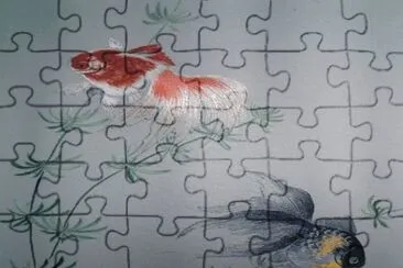 Fish jigsaw puzzle