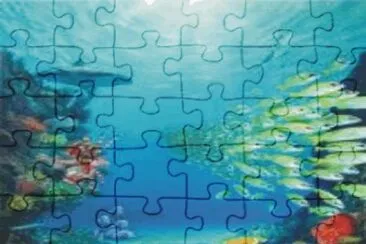 Fish jigsaw puzzle