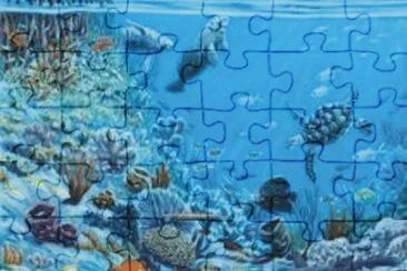 Fish jigsaw puzzle