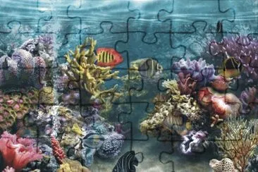 Fish jigsaw puzzle