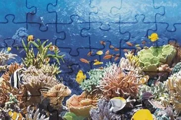 Fish jigsaw puzzle