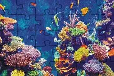 Fish jigsaw puzzle