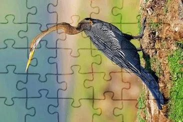 natural jigsaw puzzle