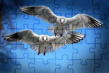 natural jigsaw puzzle