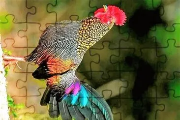 natural jigsaw puzzle